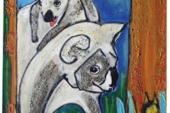 koalas